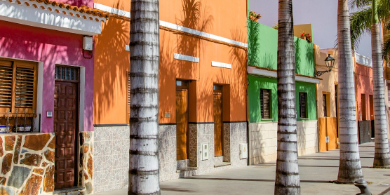 Colorful pink and orange house fronts along a palm-lined street in Tenerife, serving as a featured image for shipping moving boxes with DACHSER & KOLB.