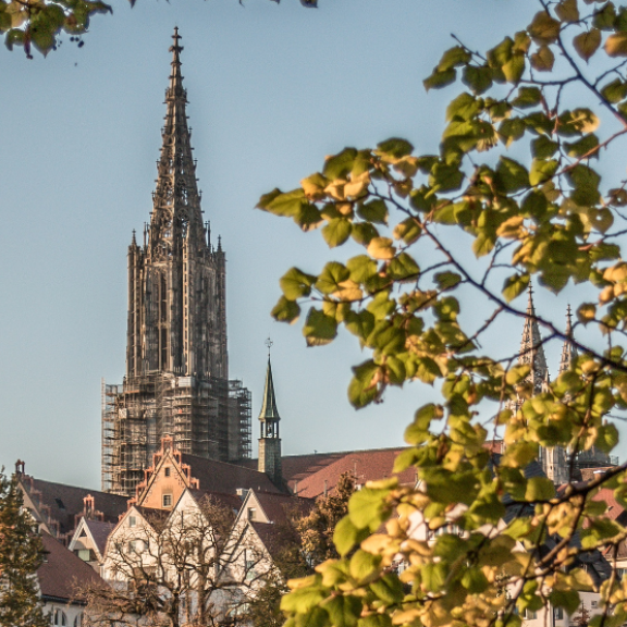 DACHSER & KOLB: Umzugsunternehmen in Ulm