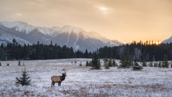 Emigrate to Canada: Climate