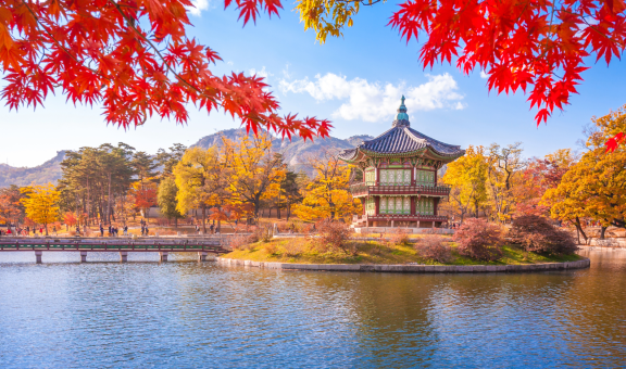 Auswandern nach Südkorea: Wirtschaft