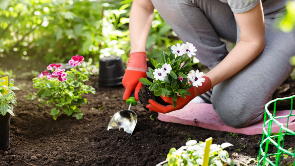 Frau pflanzt weiße Blumen im Garten – Garten- und Landschaftsgestaltung nach dem Umzug leicht gemacht