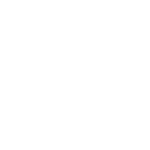 Icon: world map with flags – knowledge of country-specific regulations