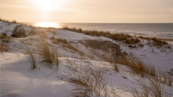 Winterliche Dünenlandschaft an der dänischen Küste bei Sonnenuntergang