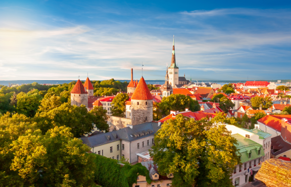 Emigrate to Estonia: Politics