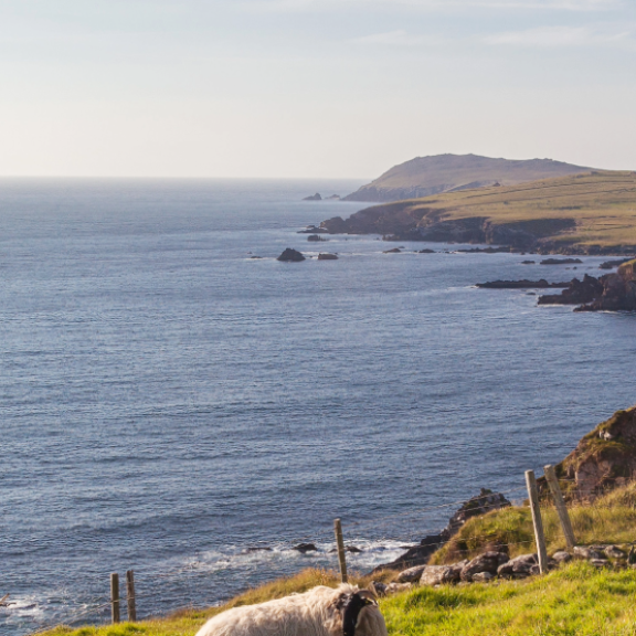 Emigrate to Ireland