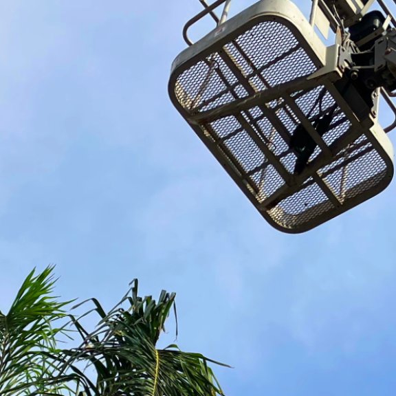 Außenaufzug mit Arbeitskorb an Teleskoparm vor blauem Himmel, Palmen im unteren Bildrand.