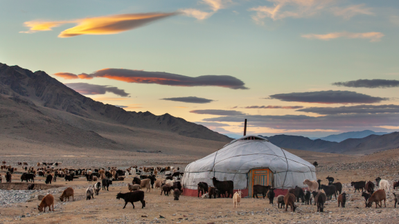 Jurte in der mongolischen Berglandschaft mit Ziegenherde bei Sonnenuntergang