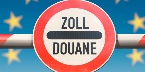 Customs officers inspecting goods during a customs inspection. Essential for regulatory compliance.