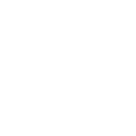 DACHSER & KOLB: Professional handling of customs formalities