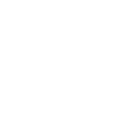 Verbesserte Entscheidungsqualität beim Carnet-TIR-Zollverfahren