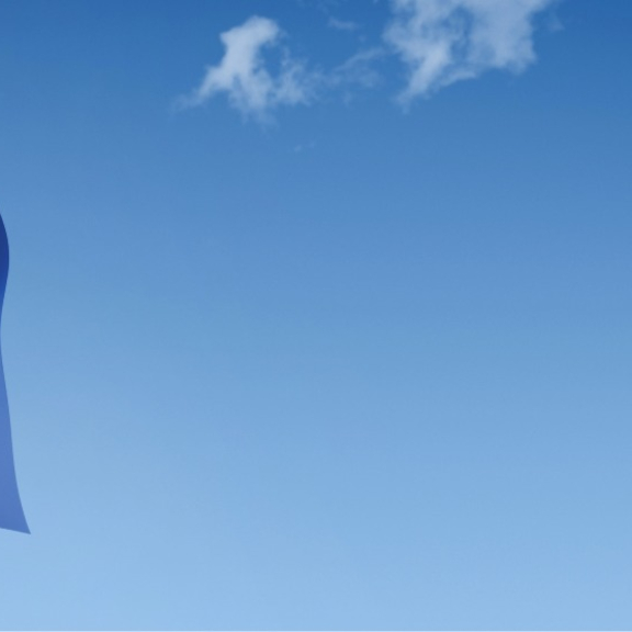 Wehende EU-Flagge vor blauem Himmel als Symbol für den zollfreien Status von Unionswaren beim T2LF-Verfahren.