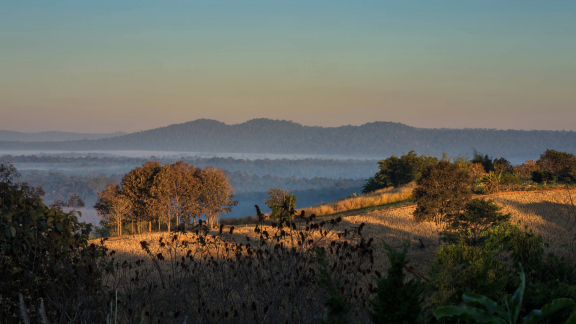 Landschaft an der Elfenbeinküste